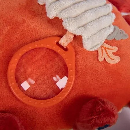 Activity Crab - Moulin Roty