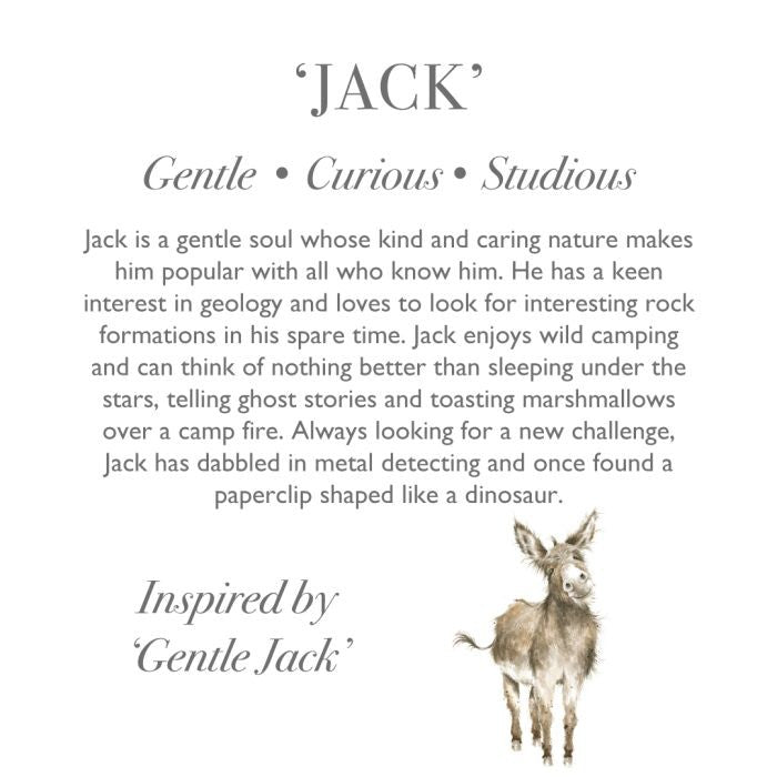 Wrendale Designs Jack the Donkey Plush Soft Toy
