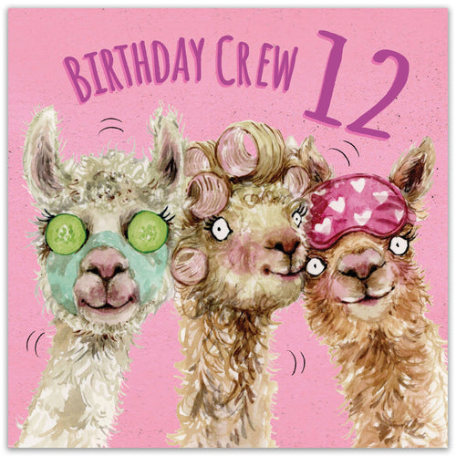 Age 12 Girls Birthday Card - Pamper - Alpaca