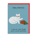 I Love You Even When You Are Difficult Sometimes Greeting Card