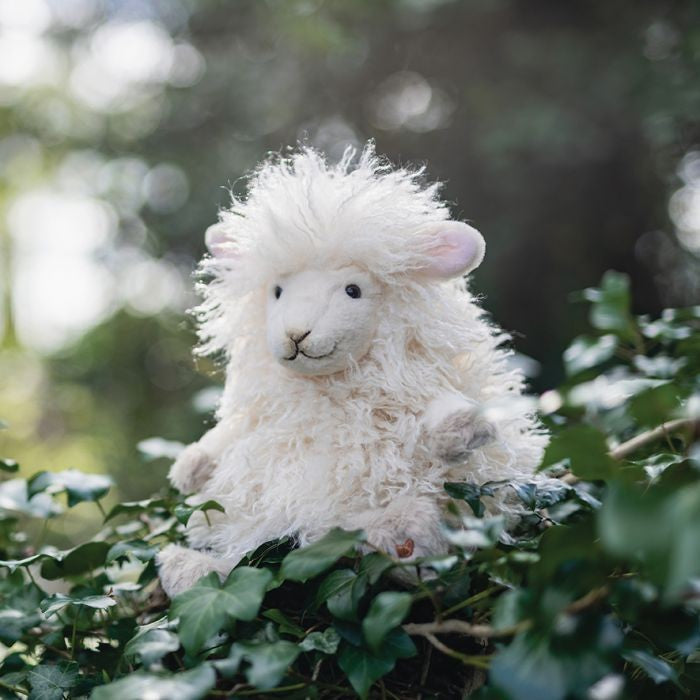 BERYL - Wrendale Sheep