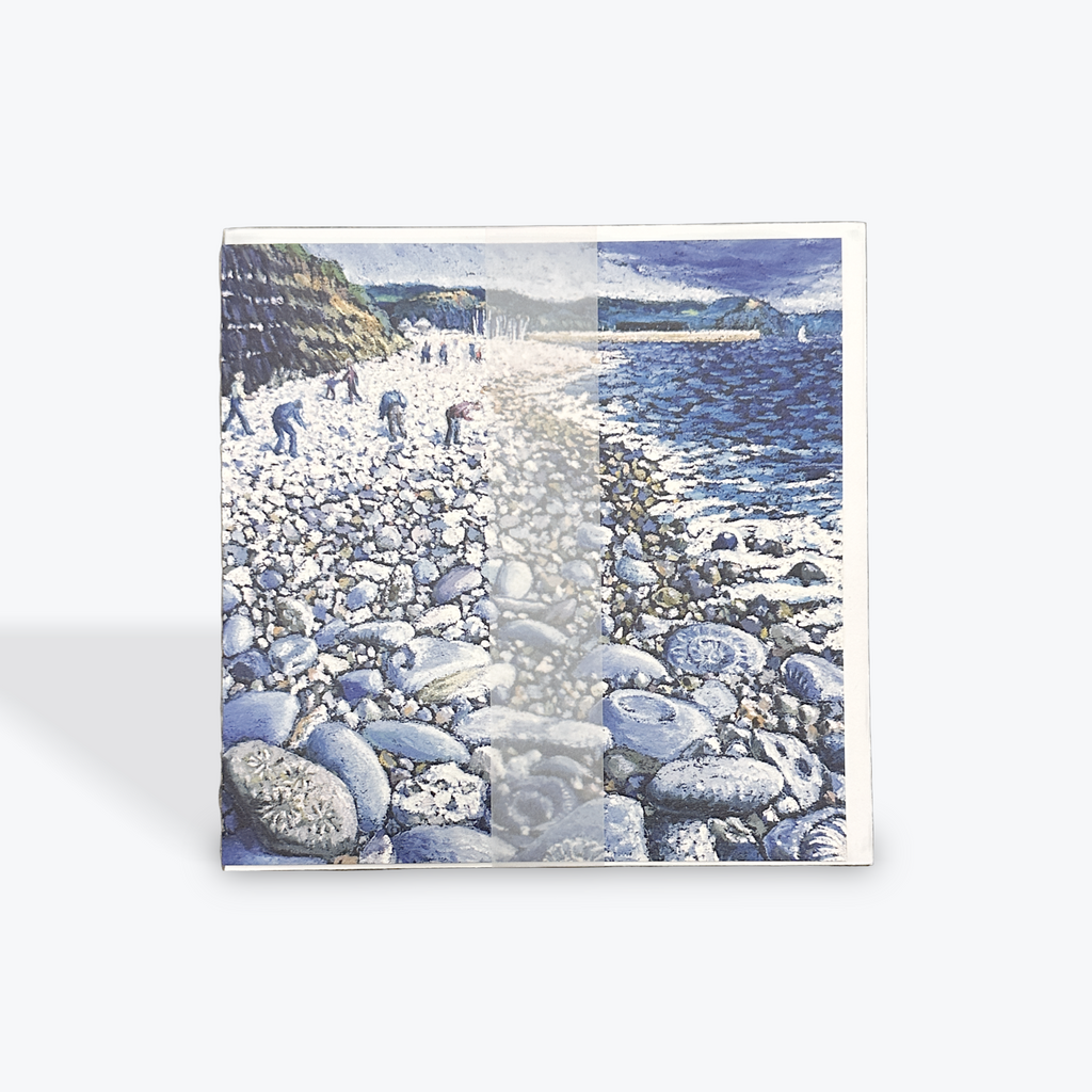 Fossil Hunting - Card