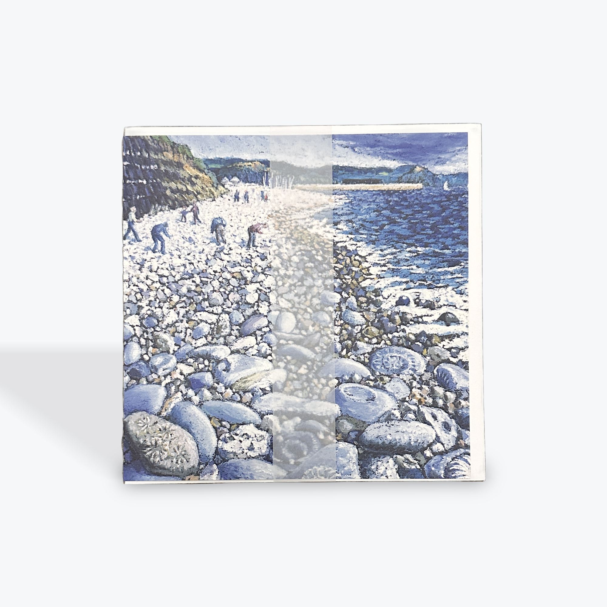 Fossil Hunting - Card