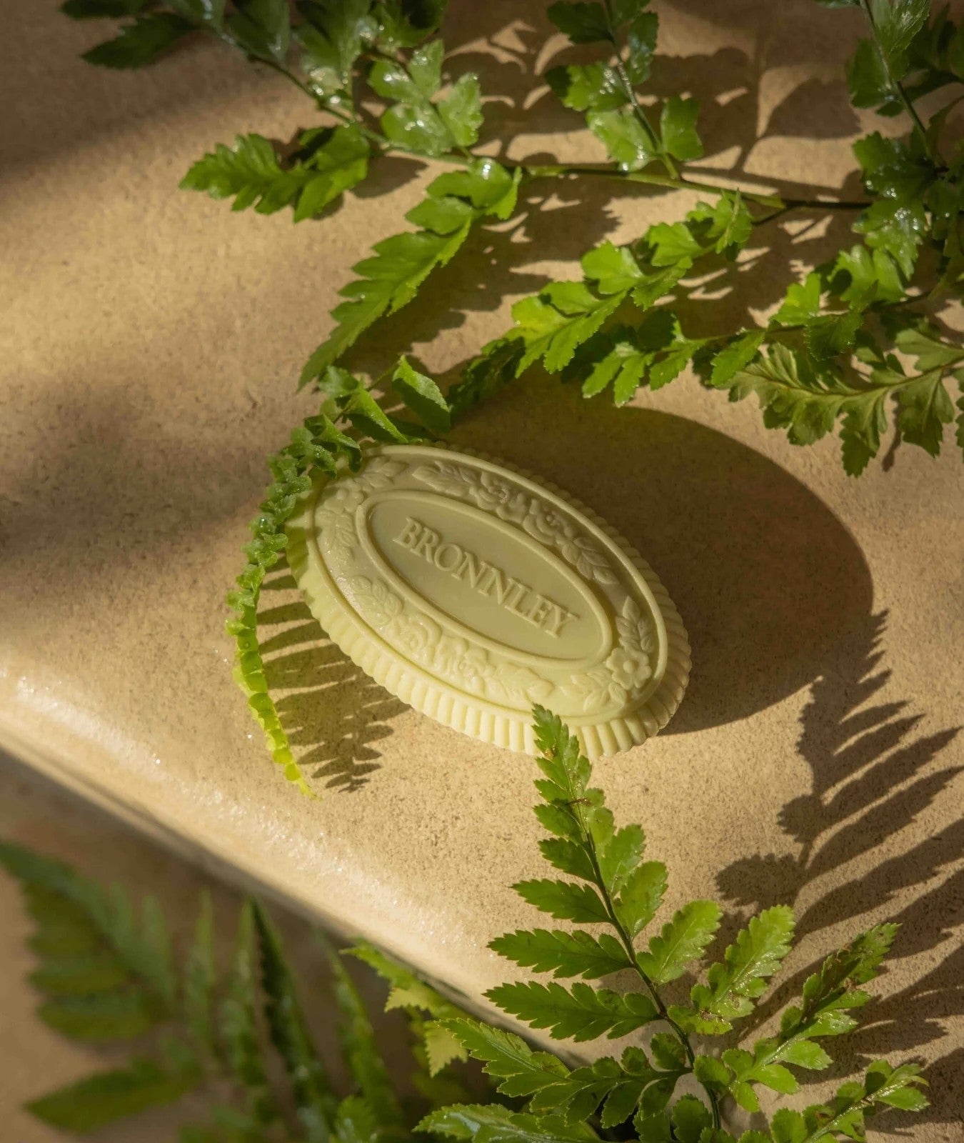 Bronnley English Fern Soap Gift Set
