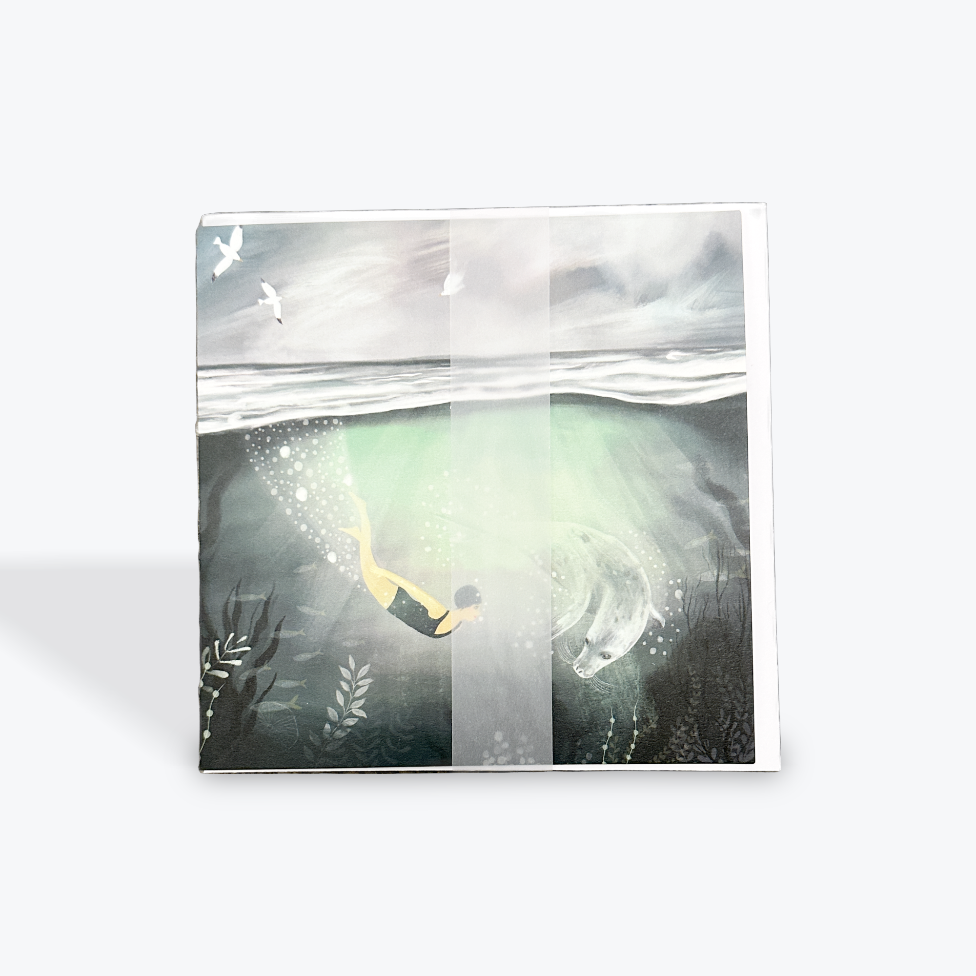 Curious -  Greeting Card