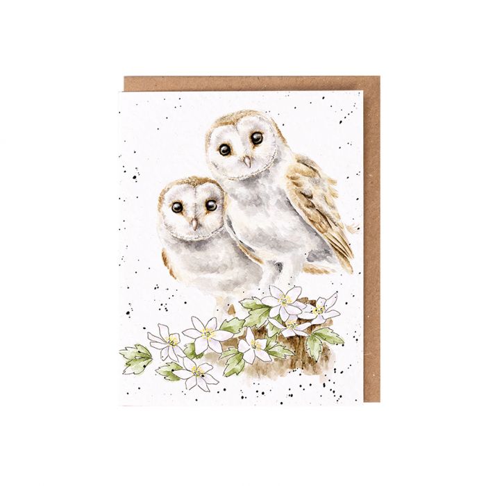 Wrendale Designs Hooting for You Owl Seed Card
