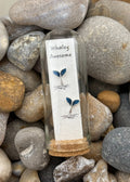 Whaley Awesome - Earrings on seed paper