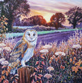 Barn Owl at Dawn Card