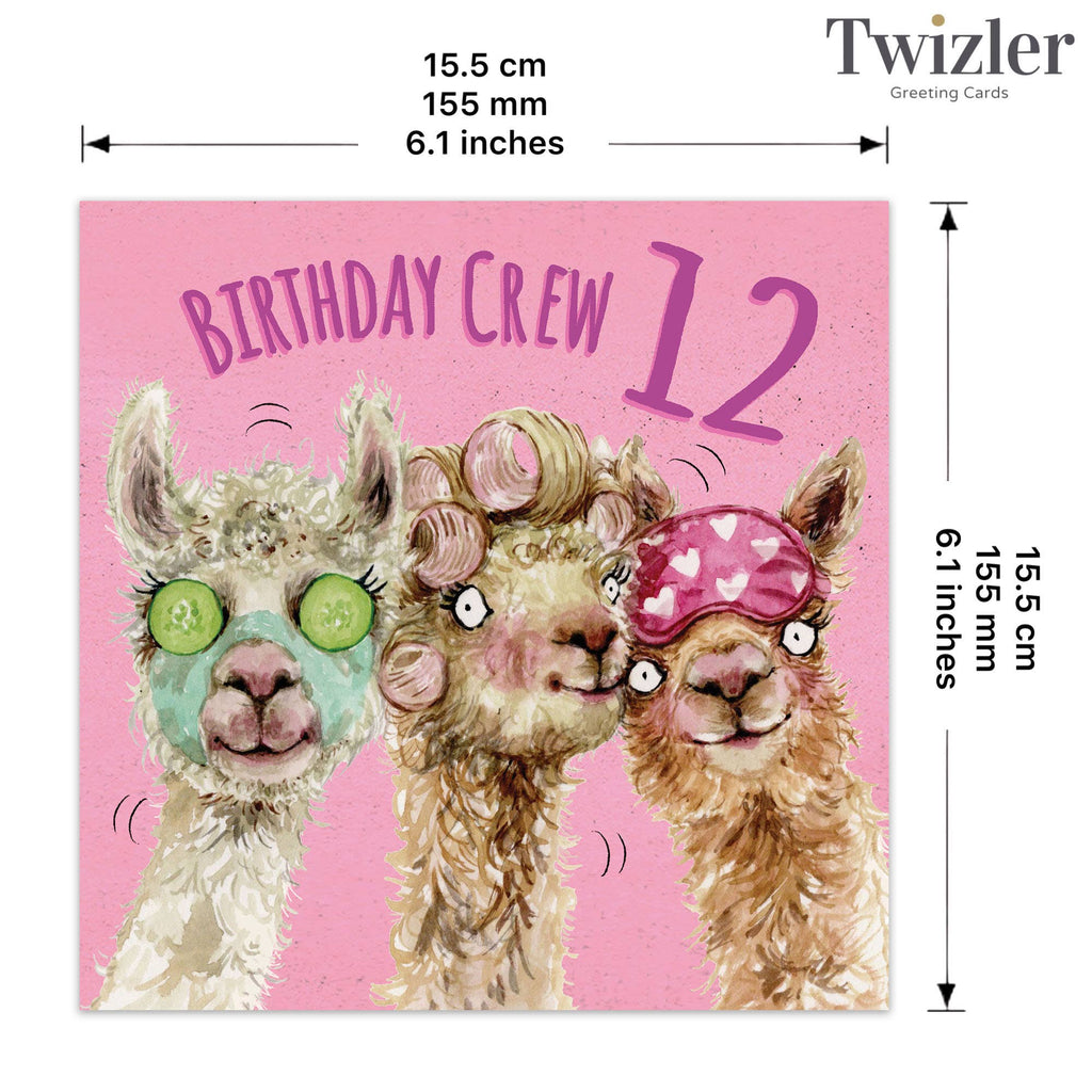 Age 12 Girls Birthday Card - Pamper - Alpaca