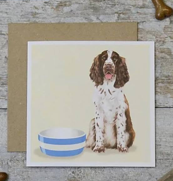 Spaniel card