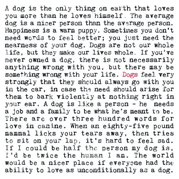 Dogs Funny Quotes Card