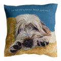 Little Dog Laughed Cushion Eyebrows