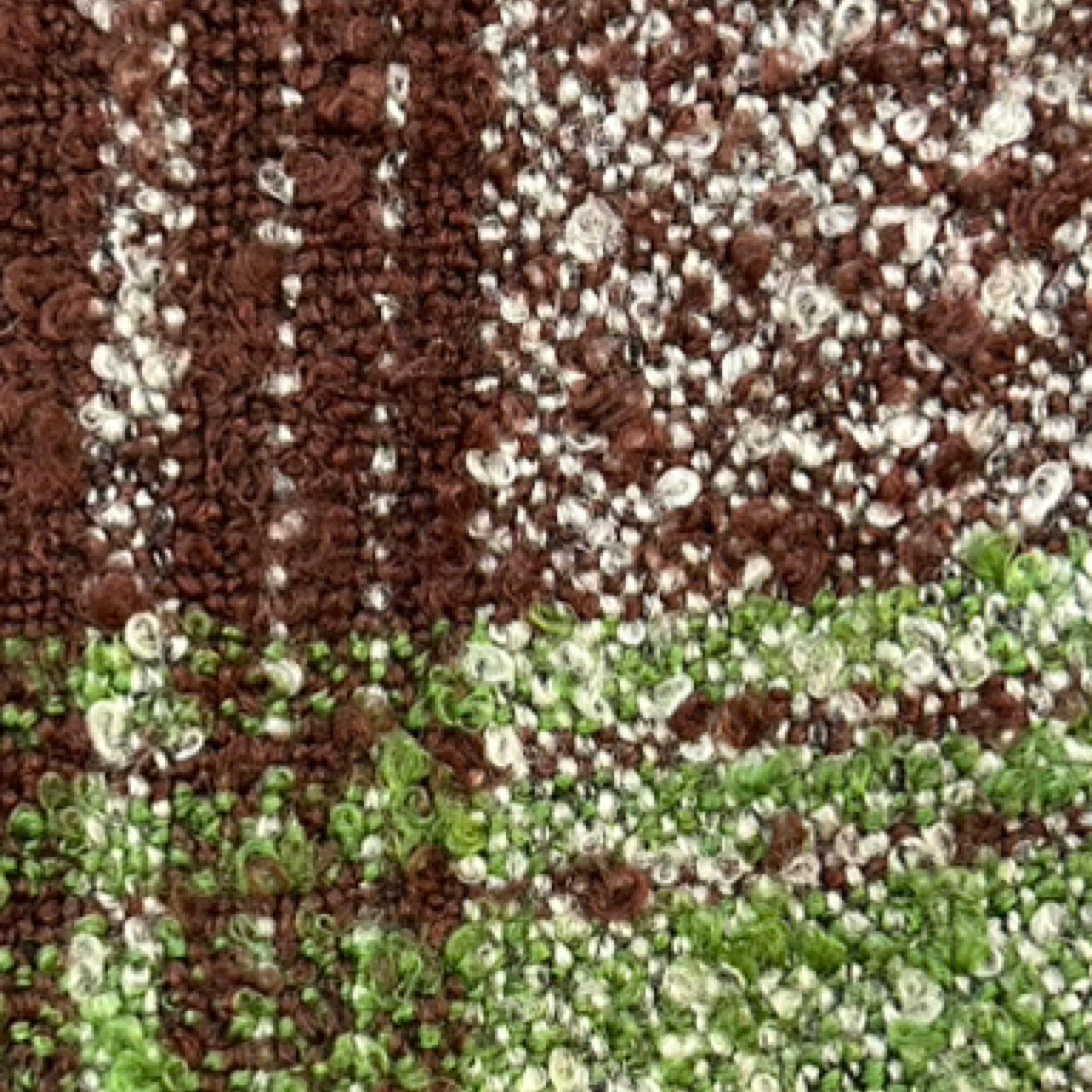 Shruti Brown and Green Tartan Scarf