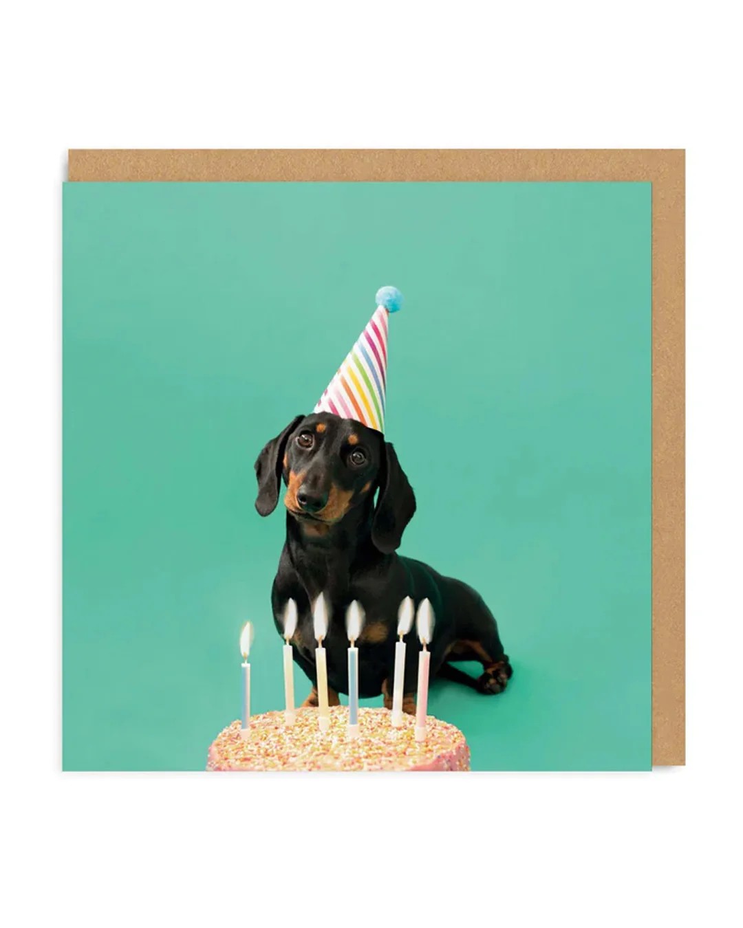 Scout Party Hat Greeting Card