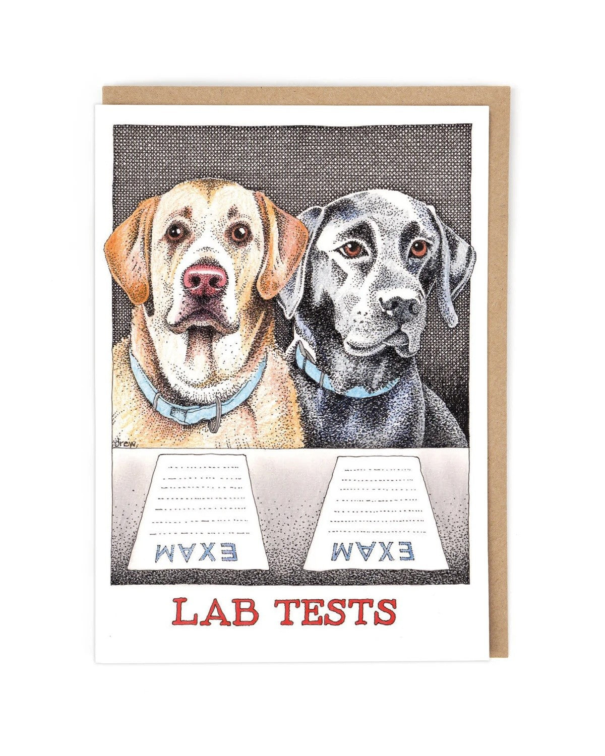 Lab Tests Card