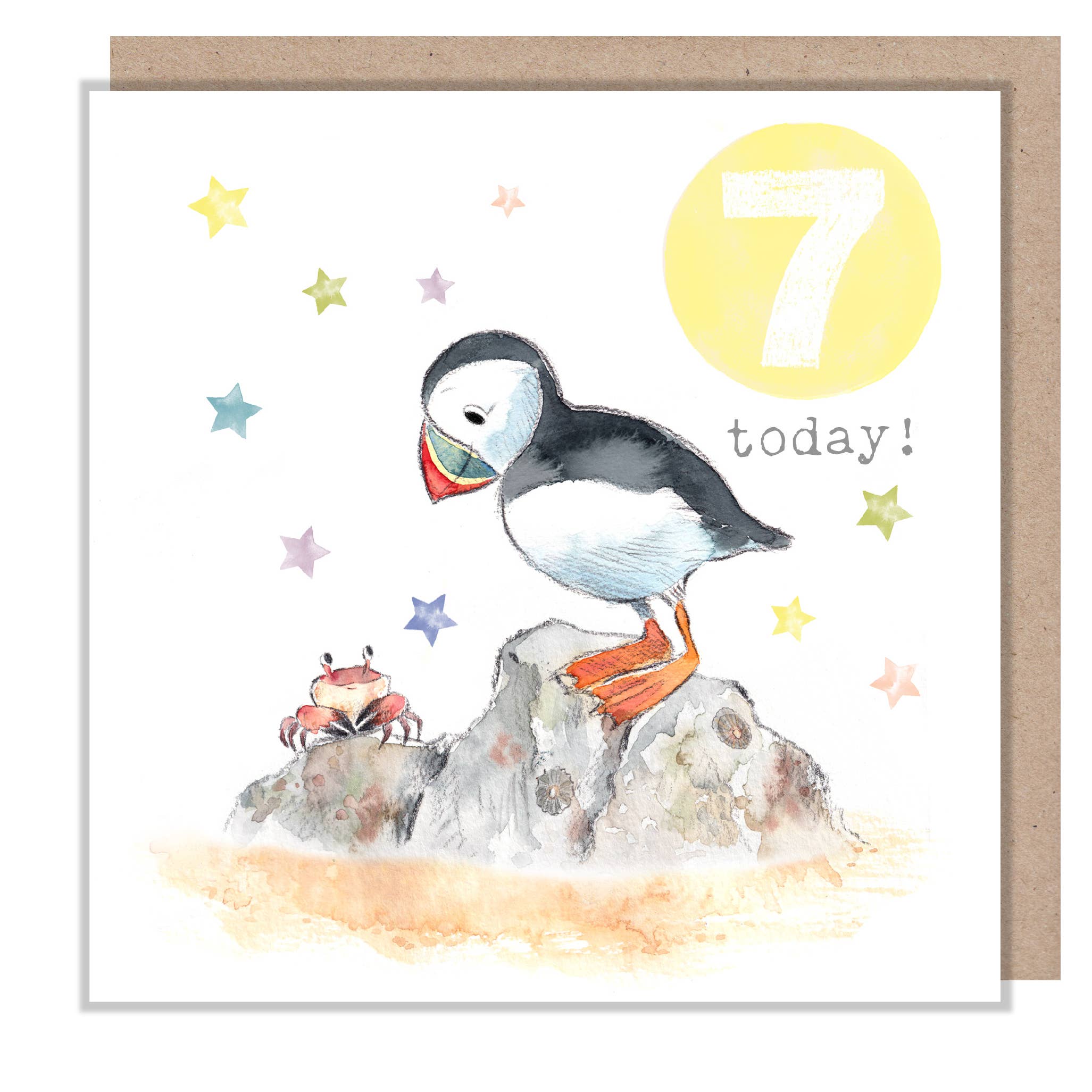 Age 7 Birthday Card - Puffin design - Party Time