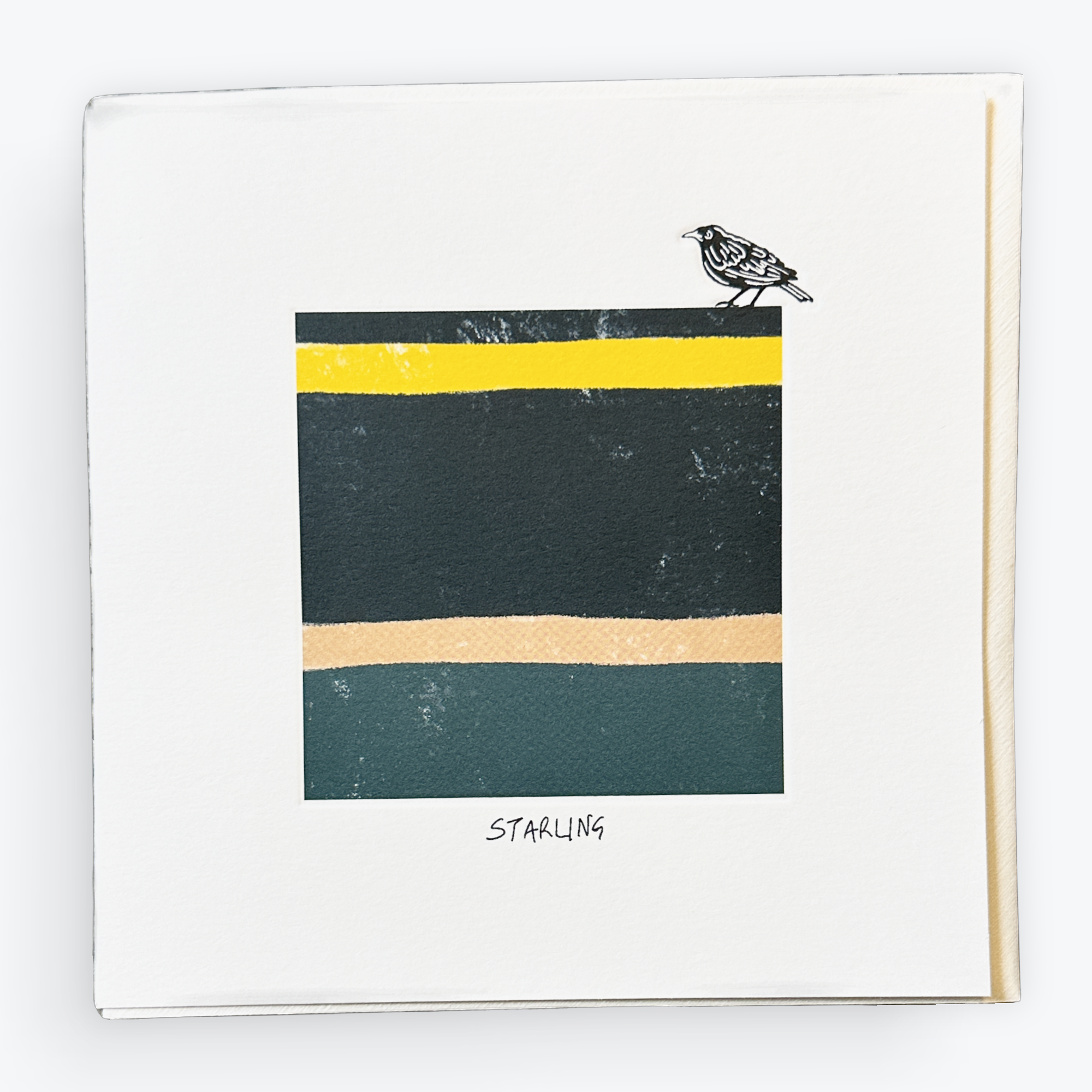 Starling (Bird Tone) - Card
